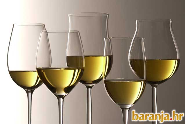 BARANJSKI PODRUMI PUNI VINA