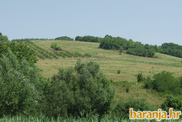 NASTAVAK GRADNJE CESTE POPOVAC – KAMENAC