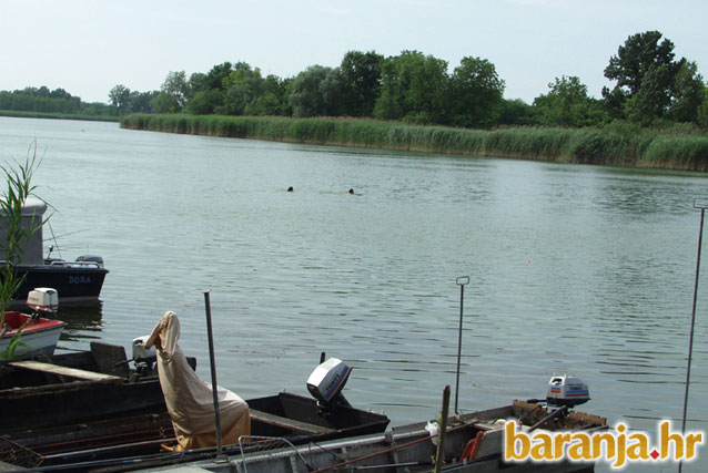 UŽIVANJE U DUNAVU