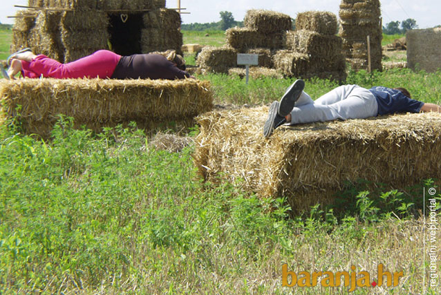 Slama2011_03
