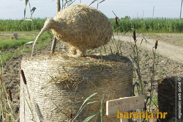 LAND ART INSTALACIJE U BARANJI