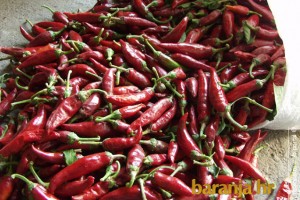 Paprika_01