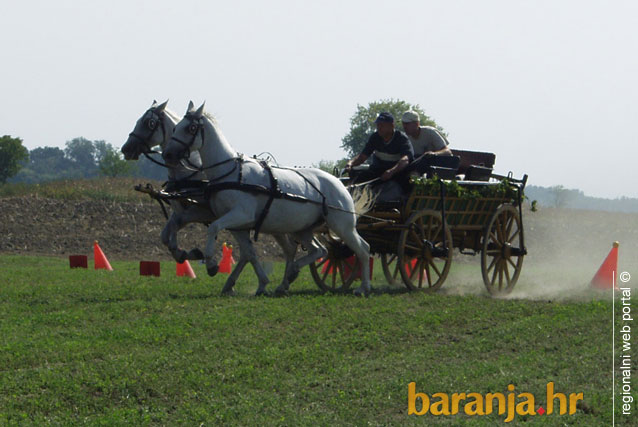 I BARANJA IMA ALKU