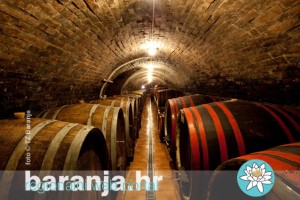 Vinceska_TZ_Baranje_Objava
