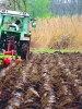 POČELA RASPRODAJA AGROKORA