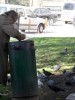 TRENIRANJE STROGOĆE NA SOCIJALI