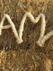 SLAMA ODLAZI IZ BELOG MANASTIRA